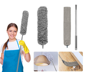 Telescopic duster brush