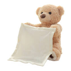 Interactive Peek-a-boo Bear