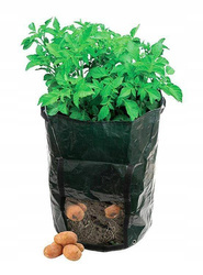 Sack bag for planting potatoes