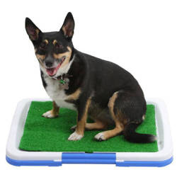 Potty Pad - Litter box for puppy dogs